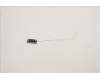 Lenovo 5A30Z88197 Antenne FRU Antenne Main&Sub