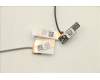Lenovo 5A30Z88203 Antenne FRU ACCY KITS Antenne WLAN