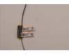 Lenovo 5A30Z88211 Antenne FRU Ant ACCY KITS WLAN PC JT6C1