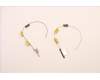 Lenovo 5A30Z88212 Antenne FRU Ant ACCY KITS WLAN AL JT6C1
