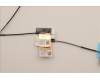 Lenovo 5A30Z88214 Antenne ACCY KITS ANT WL-AWAN JP610