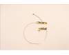 Lenovo 5A30Z88216 Antenne ACCY KITS ANT WW AWAN JP610