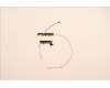Lenovo 5A30Z88216 Antenne ACCY KITS ANT WW AWAN JP610