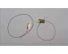 Lenovo 5A30Z88223 Antenne Antenne WL Main&Aux HT 300WG4