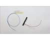 Lenovo 5A30Z88224 Antenne Antenne WW Main&Aux HT 300WG4