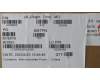 Lenovo 5A30Z88236 Antenne ACCY KITS WWAN Antenne MIMO