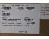 Lenovo 5A30Z88269 Antenne FRU WLAN CFRP KITS ASM Eiger1.0