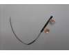 Lenovo 5A30Z88269 Antenne FRU WLAN CFRP KITS ASM Eiger1.0