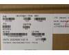 Lenovo 5A31C41982 Antenne Antenne WWAN&WLAN,Luxshare