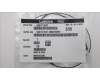 Lenovo 5A31F27647 Antenne Fru,Gaming Y780 Main Antenne_Lux