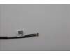 Lenovo 5A31F27735 Antenne 8.2L 2_in_1 front Antenne_LUX