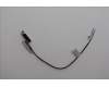 Lenovo 5A31F27735 Antenne 8.2L 2_in_1 front Antenne_LUX