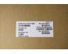 Lenovo 5A31F75897 Antenne KIT_WLAN Antenne_Amphenol