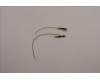 Lenovo 5A31F75897 Antenne KIT_WLAN Antenne_Amphenol