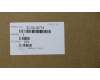 Lenovo 5C10L20774 Displaykabel Cable W 80SW FHD
