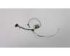 Lenovo 5C10S29922 Displaykabel Cable H 81NE
