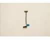 5C10S30367 Lenovo CABLE USB Board Cable L 82QX