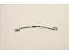 Lenovo 5C10S30549 CABLE EDP Cable L 82SV 2.8 Mylar