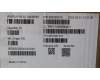 Lenovo 5C10S30797 Displaykabel Cable WT 82XK