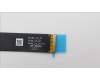 Lenovo 5C10S30797 Displaykabel Cable WT 82XK