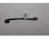 Lenovo 5C10S31319 CABLE Battery cable C 83JX