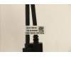Lenovo 5C10U58452 KabelFru 430mm Displayport&USB3.0 CABLE_TCO8.0