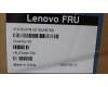 Lenovo 5C10U58769 KabelFru16p to Dual 8p 550mm