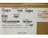 Lenovo 5C11C12569 CABLE FRU CABLE OLED EDP Cable