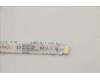 Lenovo 5C11C12595 CABLE FRU CABLE NFC CABLE,Fenrir