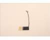 Lenovo 5C11H81442 CABLE H-CONN SET MB-FHDTOUCH COAXIAL+TEF