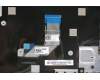 Lenovo 5CB0T45100 Tastatur inkl. Topcase ASM GR B 81M9 SPT 5M