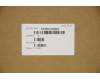 Lenovo 5CB0U42422 Tastatur inkl. Topcase C81N4 PLBLU NFPNBL CZ-SK