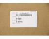 Lenovo 5CB0W43311 Tastatur inkl. Topcase ASM_US INTE L81VDIMRBKD