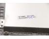 Lenovo 5CB0X56117 Tastatur inkl. TopcaseASM_US INTE L81YKBLNFPPG