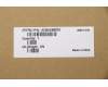 5CB0X56610 Lenovo COVER Upper Case ASM_BU L81WA NFPPGYDIS