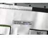 Lenovo 5CB1C14949 Tastatur inkl. TopcaseASMEUROENGL82JQSGw/R WRF