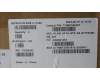 Lenovo 5CB1L11248 Tastatur inkl. Topcase_SWS C82XD NFP AB NBL PL