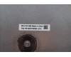 Lenovo 5CB1P50362 FRU COVER MT062_D_COVER_WLAN_ASSY