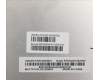 Lenovo 5D10S39702 DISPLAY LCD MODULE H 82CY