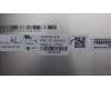 5D10S40051 Lenovo DISPLAY LCD MODULE W 21KJ MUT+ INX