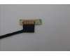 5D10S40072 Lenovo DISPLAY LCD MODULE H 83DR GL300N HD LG