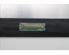 Lenovo 5D10S40343 DISPLAY LCD MODULE L21U0 FCC2 165HZ BOE