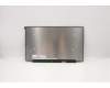 5D10W69930 Lenovo DISPLAY FRU BO NV156FHM-T07 V8.0 FHDI AG