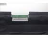 Lenovo 5D11C95924 DISPLAY UHDAG800n100%DCI-P3HDR400FCCAUO