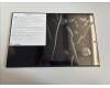 5D11L55822 Lenovo DISPLAY FRU MNG007DA2-3 16WQX ColorCSO