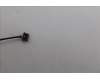 Lenovo 5F10S14220 Lüfter Lüfter L 83L6 FCN