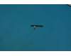 Lenovo 5F78C07061 YB-Q501 Side key FPC&*HQ22010382000 CS