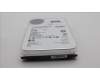 5H21C73427 Lenovo HDD_ASM FRU ST 3.5\" 7.2K SATA EvenBP 12T