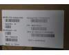 5H40S21050 Lenovo HEATSINK Thermal C 83DX S7BP0X2_HY