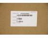 Lenovo 5H50S28952 Scharnier Scharnier Q 82AA (L/R)_GL_15